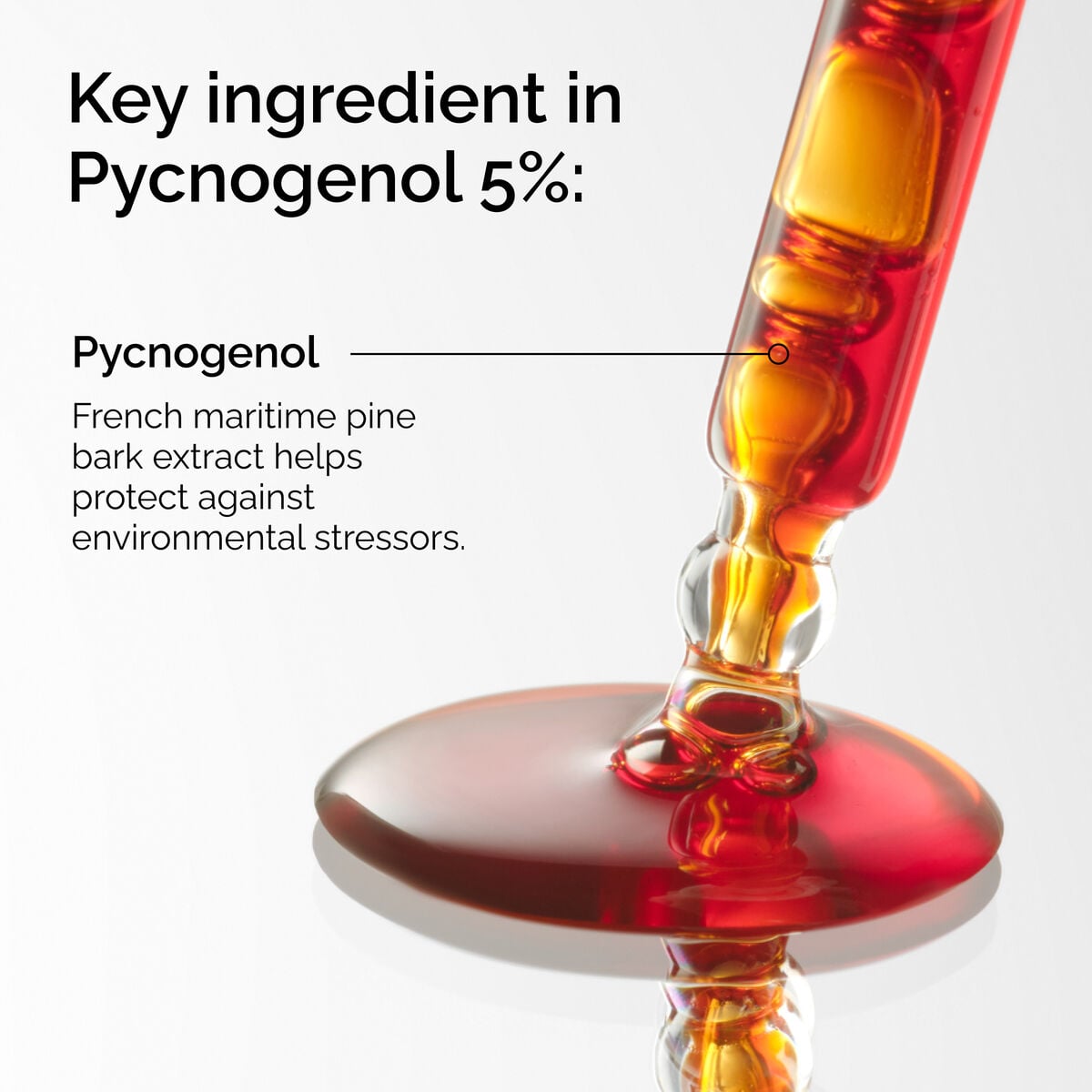 pycnogenol-5-z0 FY25-D41247-ORD-Web-PDP-Pyc-5pct-1x1-EN-2a.jpg