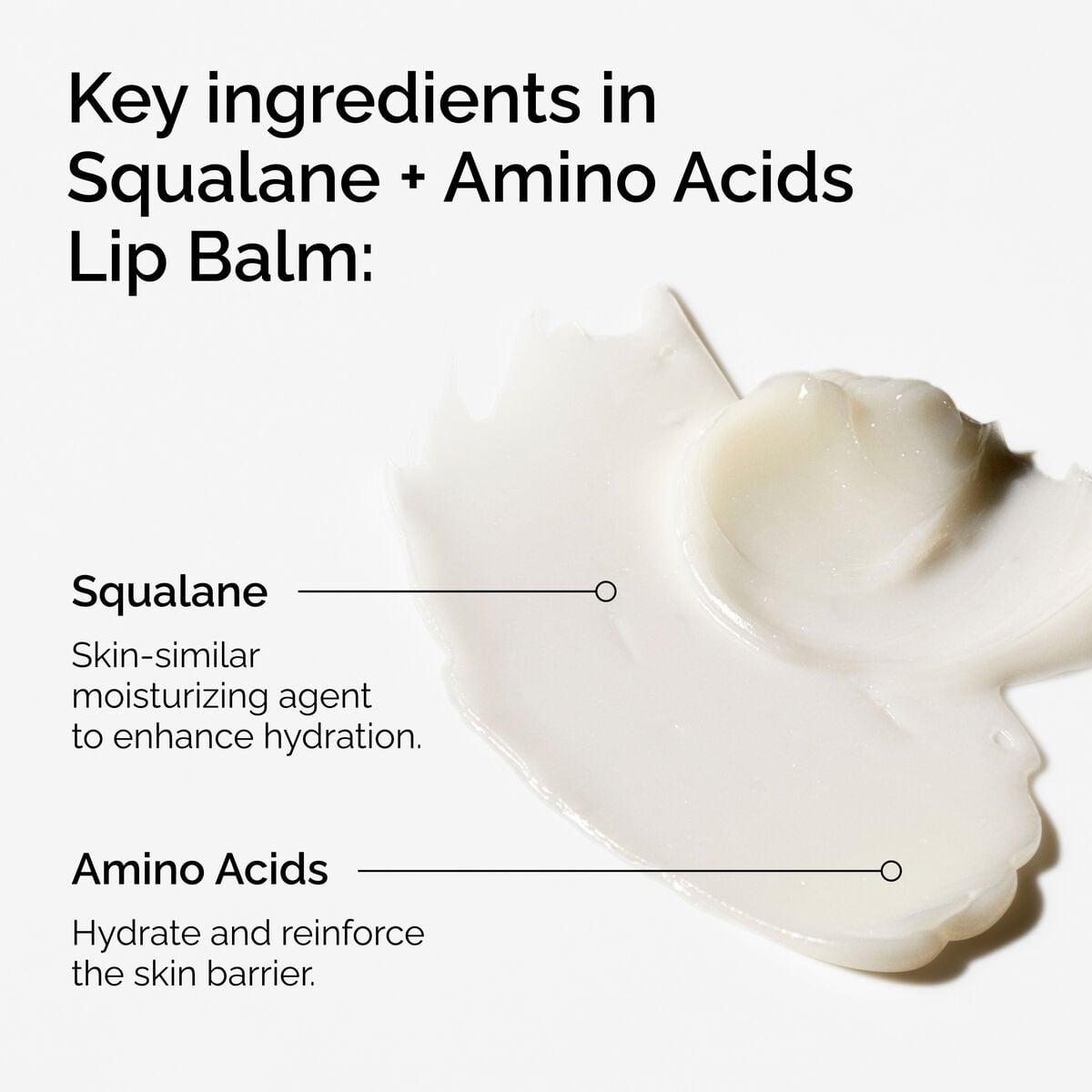 squalane-amino-acids-lip-balm-m2 FY25-D41247-ORD-Web-PDP-Sql-Amino-Lip-1x1-EN-2a.jpg