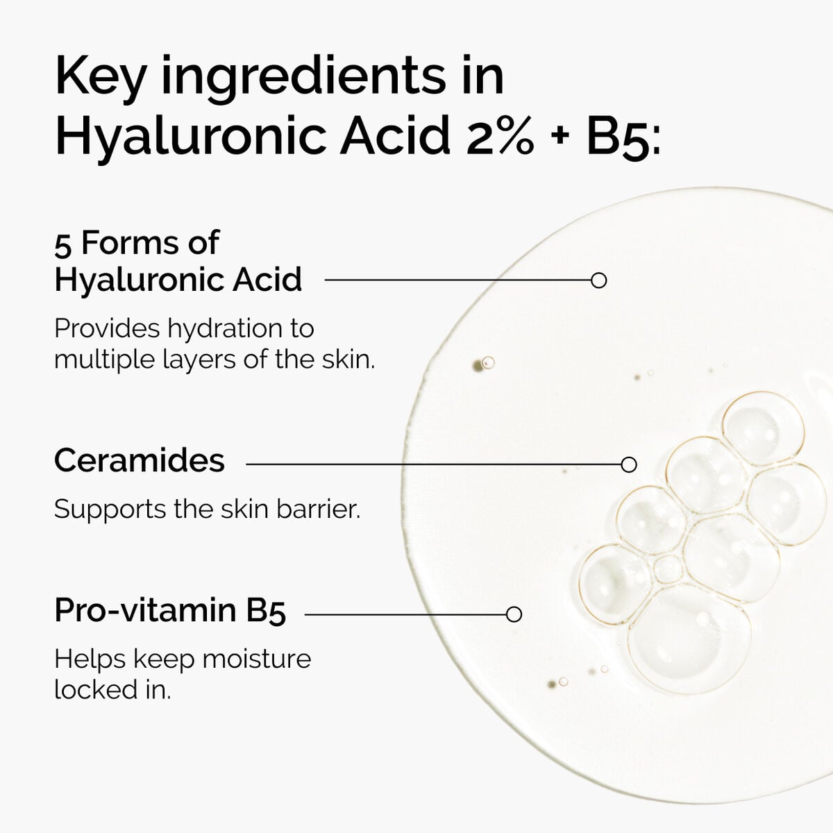 hyaluronic-acid-2-b5-with-ceramides-b2 ord-hyaluronic-acid-2pct-b5-hydrating-serum-ingredients-graphic.jpg