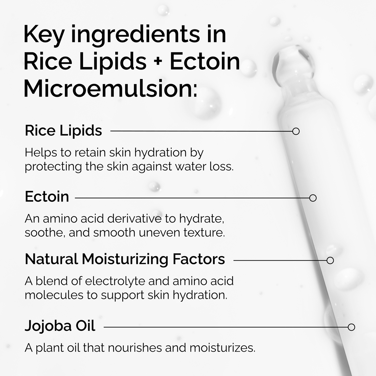 rice-lipids-ectoin-microemulsion-i2 ord-rice-lipids-ectoin-microemulsion-key-ingredients.png