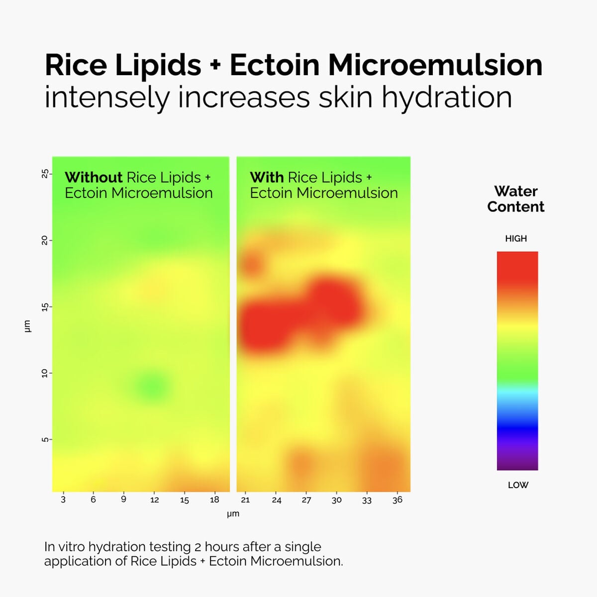 rice-lipids-ectoin-microemulsion-i2 ord-rice-lipids-ectoin-microemulsion-thermal-before-after.jpg